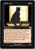 Black Cat